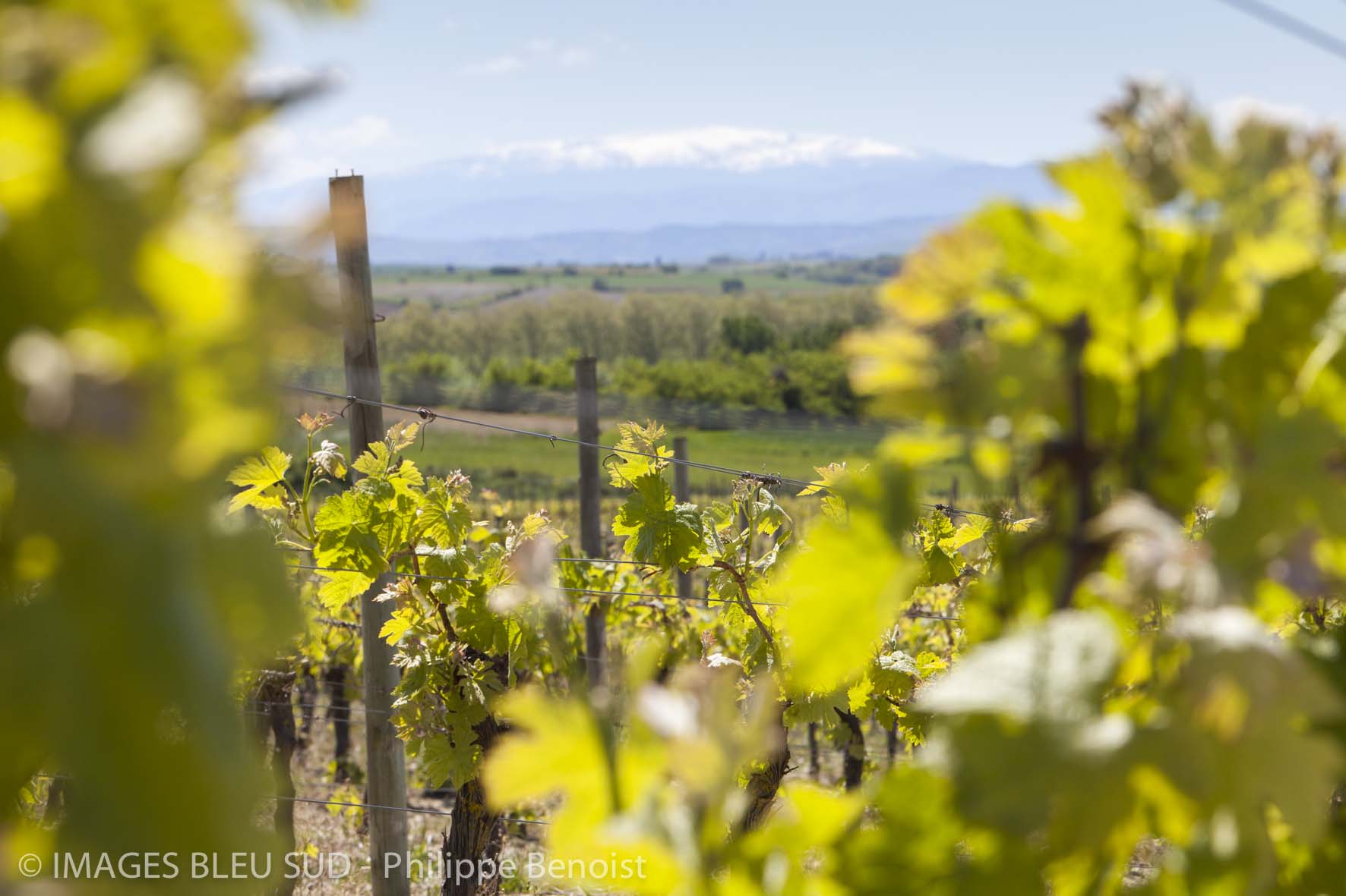 Domaine Le Fort, Mar et Stéphanie PAGES
